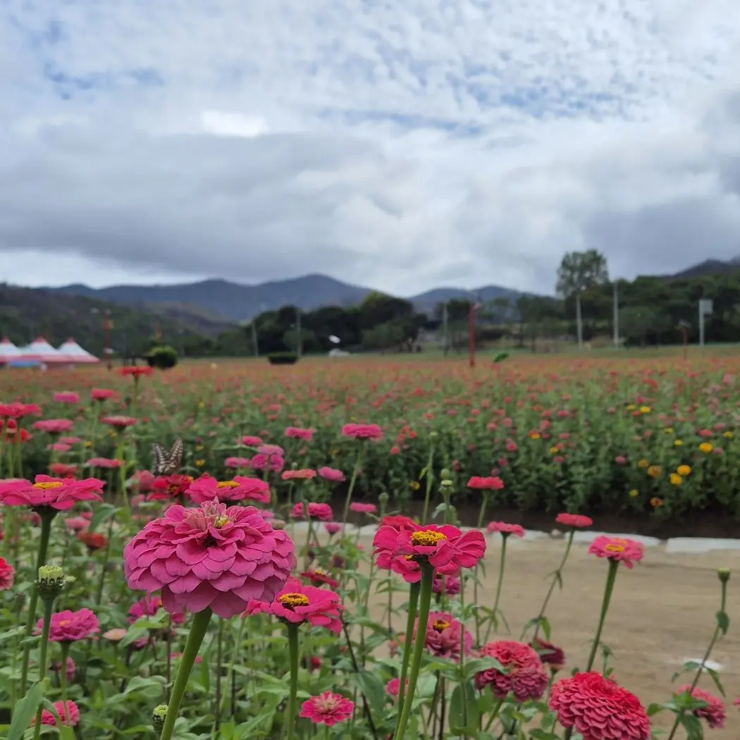 Sleepyhead1206의 늦잠 [남편]