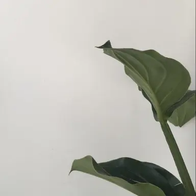 Profile image of タクヤ