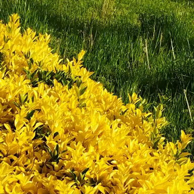 Profile image of 皇后崎迅