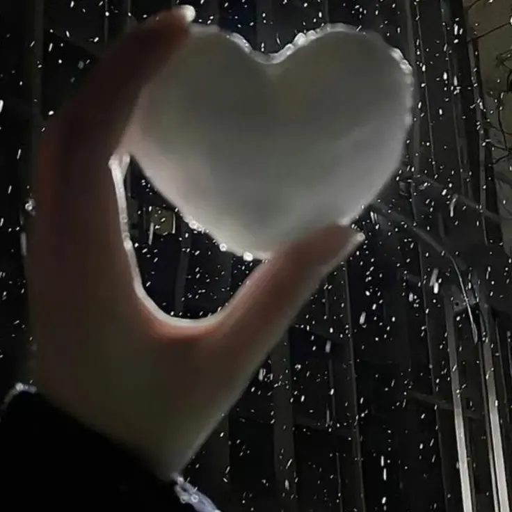 ScaredTulip9593의 ☆