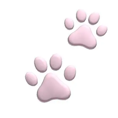 Profile image of 마에다 리쿠