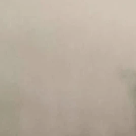 윤정핝