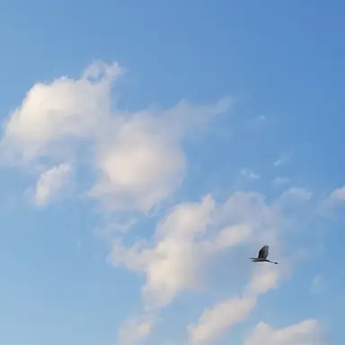 Profile image of 城戸真司