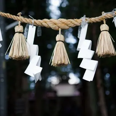 Profile image of 명