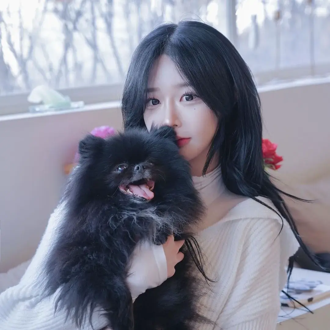 WoodyFox2952의 틱톡커 화수/김다현