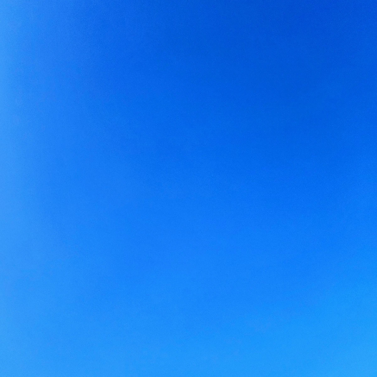 세상