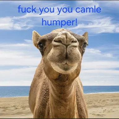 Profile image of Step dad