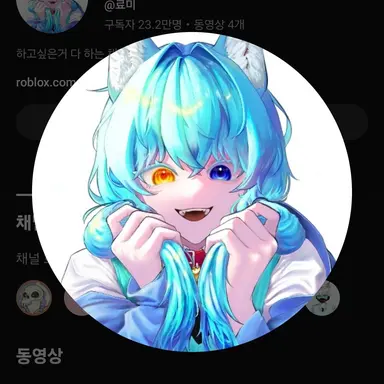 Profile image of 료미