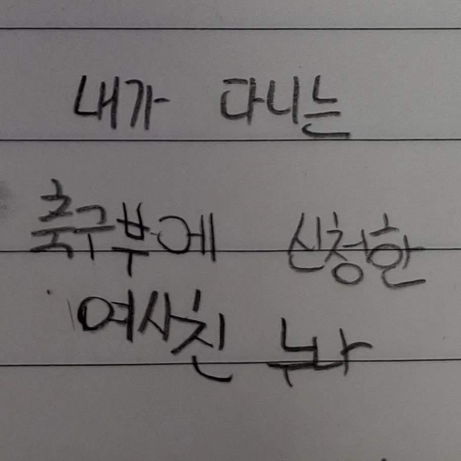 해설