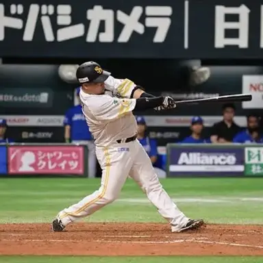 Profile image of 山川穂高