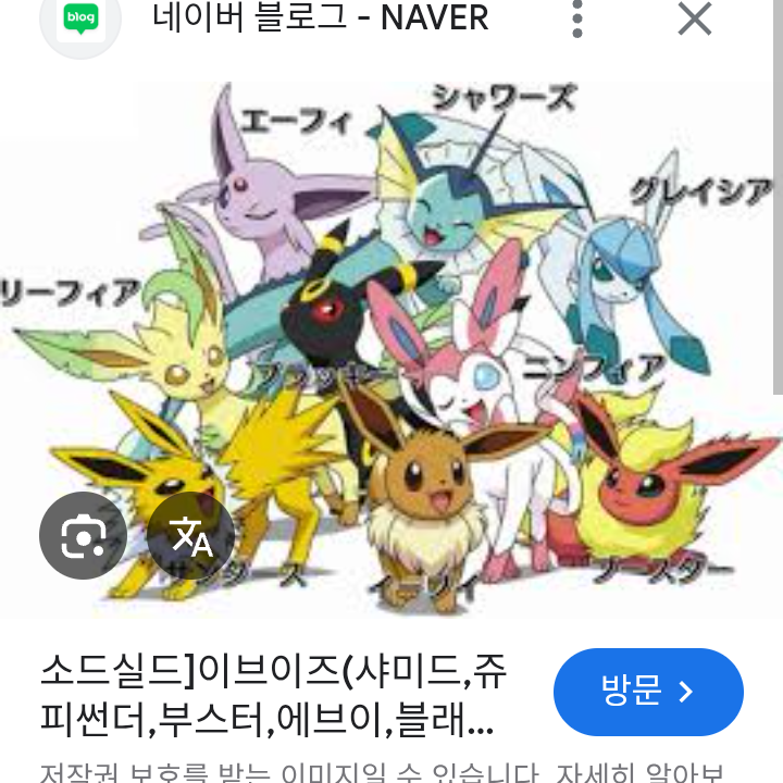 이브이즈 가족들 대표 이미지