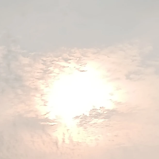 양정인
