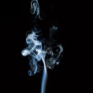 Profile image of 잠뜰