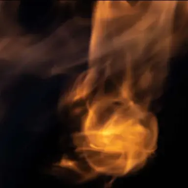 Profile image of 덕개