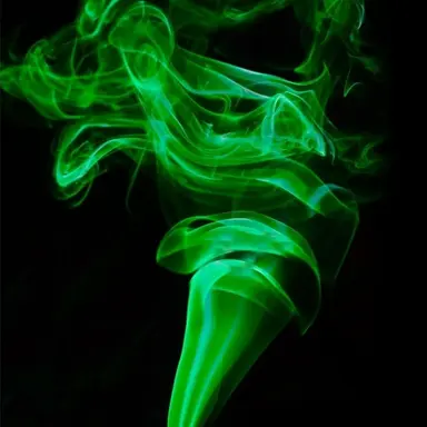 Profile image of 공룡