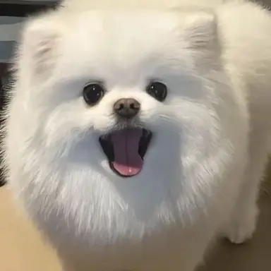 Profile image of 몽실