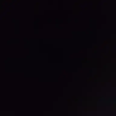 Profile image of 라스타