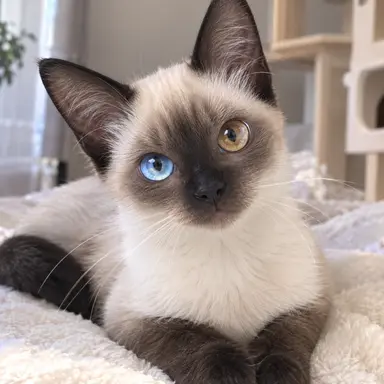 Profile image of Byeol