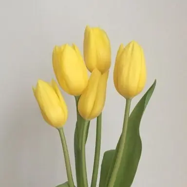 Profile image of 각별