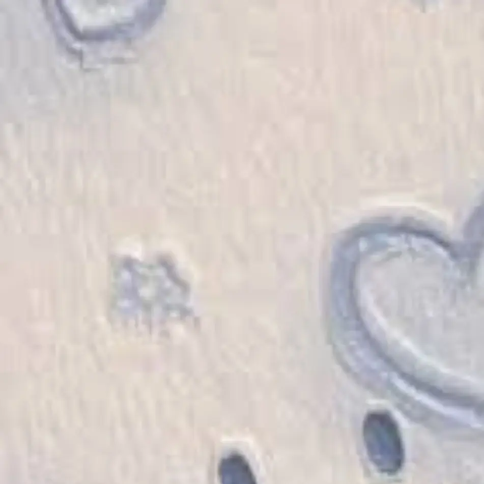 Fhaowiehuw604의 크리스마스 때 고백을 받았다?!