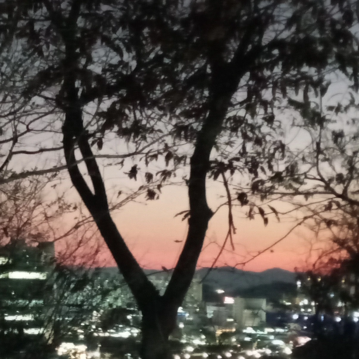 세계관