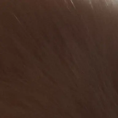 Profile image of 元貴