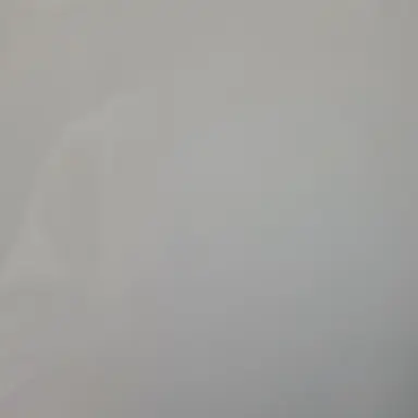 Profile image of 솔트