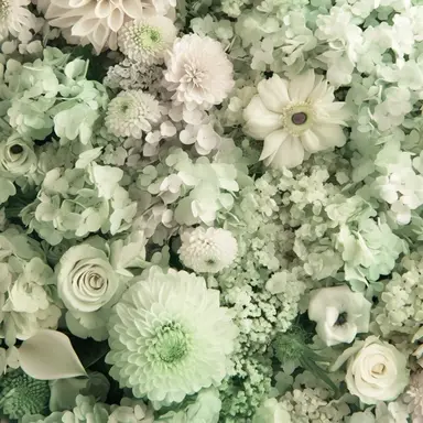 Profile image of 叢雲カゲツ