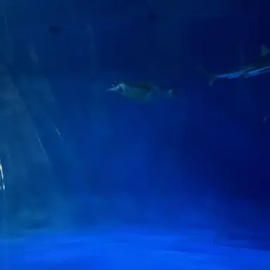 Profile image of むかえ　たいき