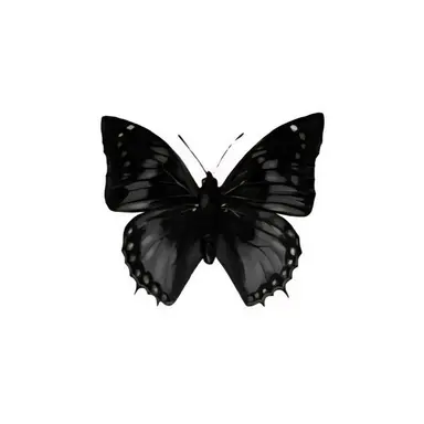 Profile image of .
