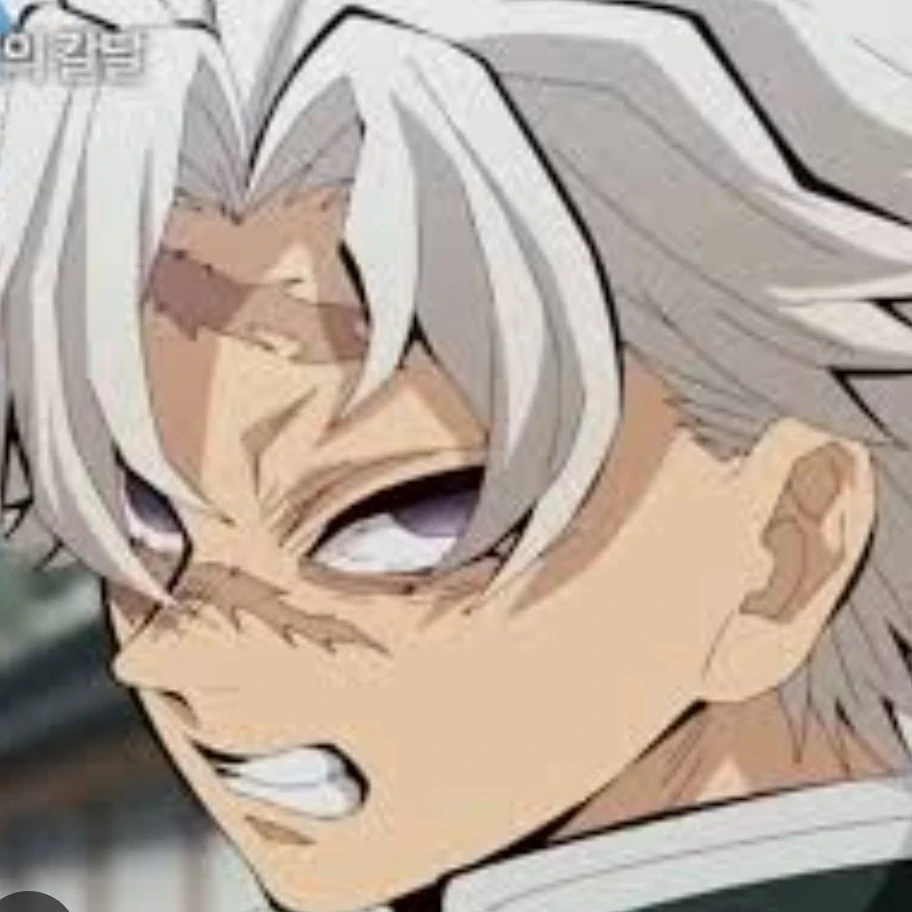 시나즈가와 사네미