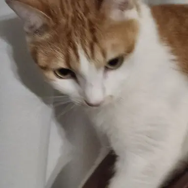 Profile image of SUN데이