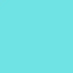 Profile image of 轟