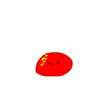 Profile image of 中国