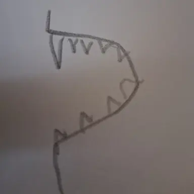 Profile image of 라오