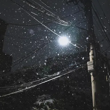 Profile image of 샤이보이토비