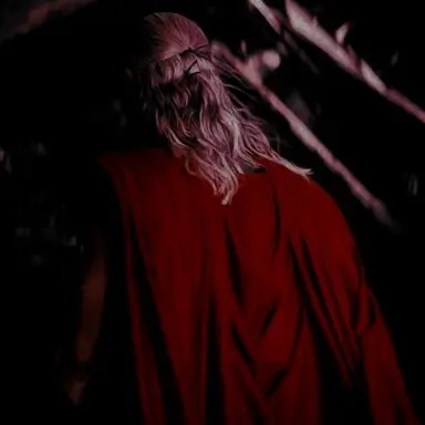 Profile image of Thor Odinson