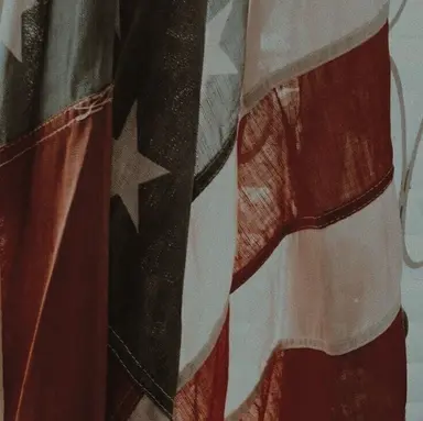Profile image of Sam Wilson