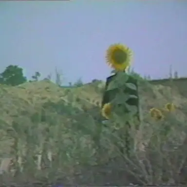 Profile image of 해성