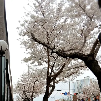 Profile image of PWS 쌤들