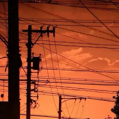 Profile image of 네즈코