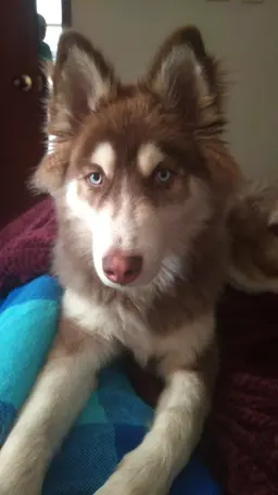Profile image of Mateo