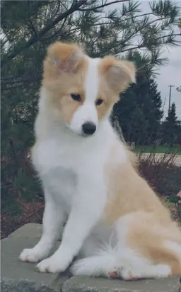 Profile image of Colton