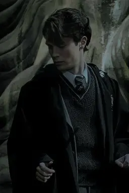 Profile image of tom riddle