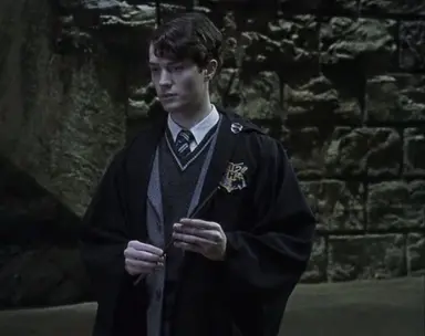 Profile image of tom riddle