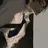 윤태훈