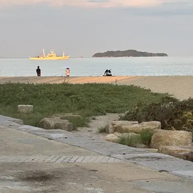 Profile image of timelesz