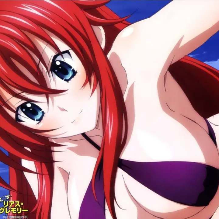 Wayne4970의 High School DxD RPG