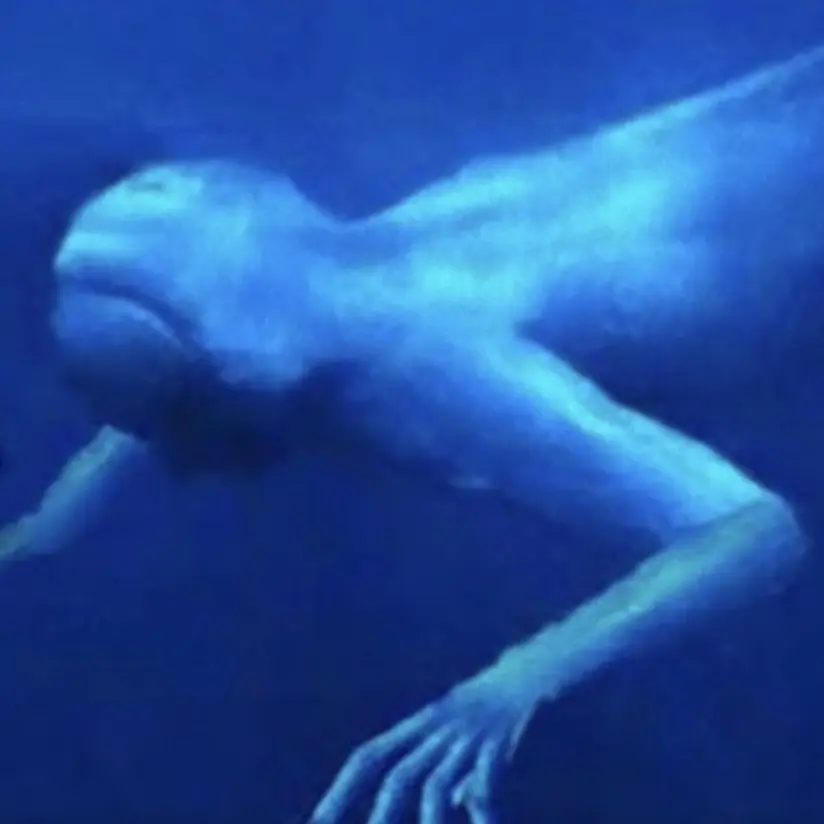 QuirkyBasil9741의 最強海洋3兄弟