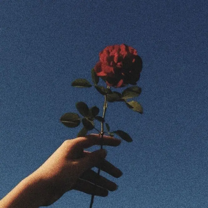 APPLE.APPLE의 서라더